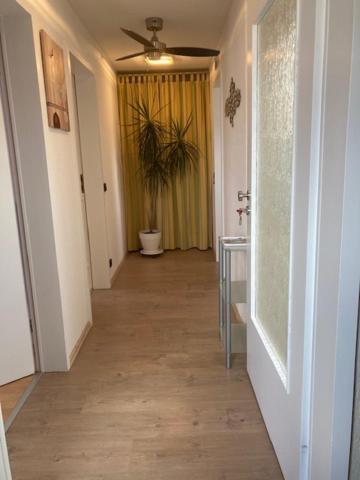 Apartment Knittel
