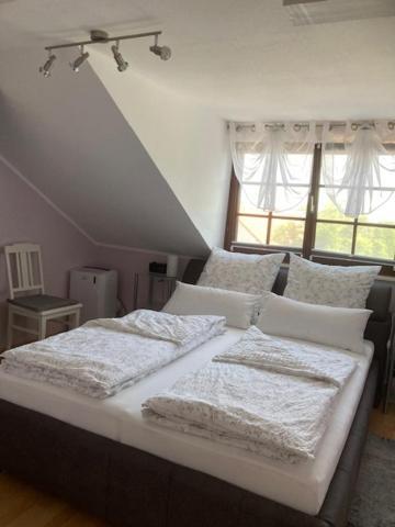 Knittel Apartment