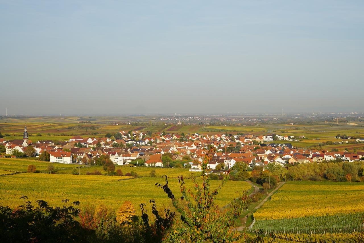 Apartment Knittel Kallstadt