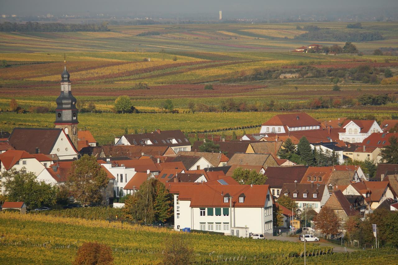 Knittel Apartment Kallstadt